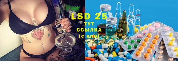 стафф Армянск